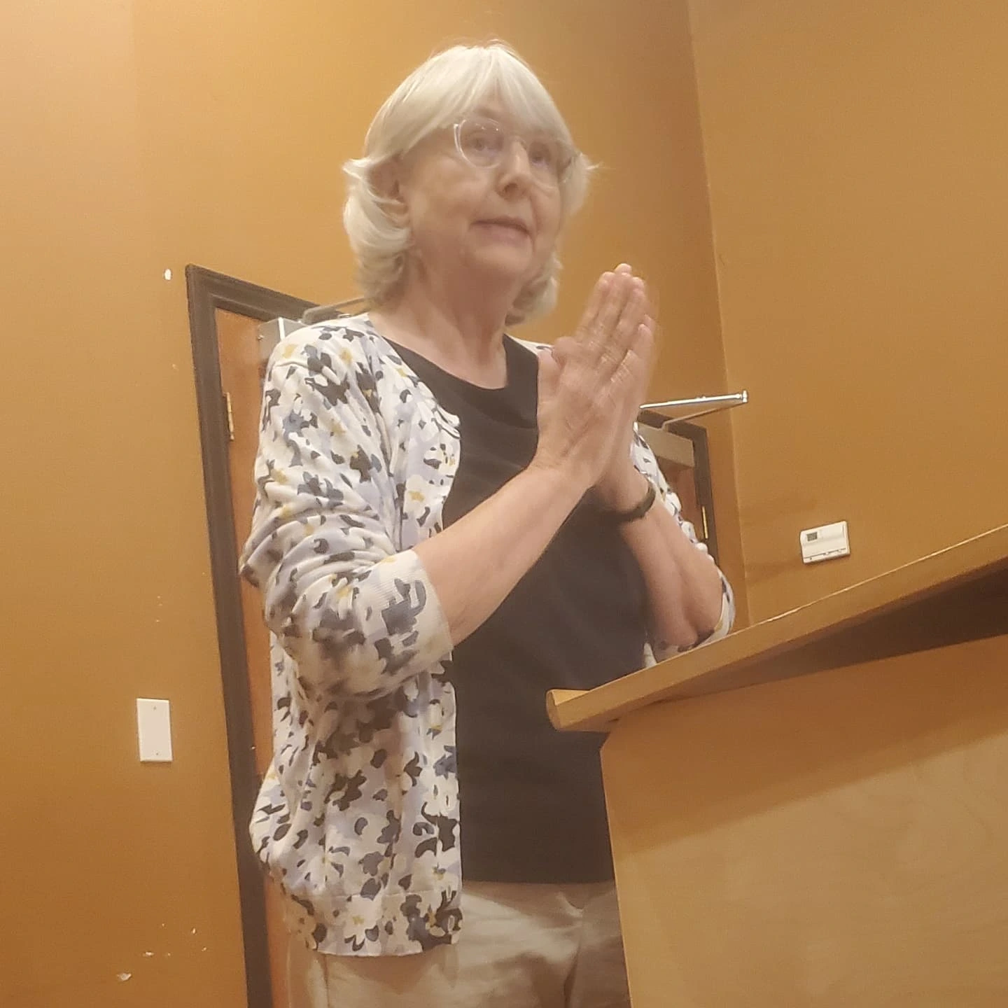 Toastmasters — November 21, 2024, photo 1 of 2