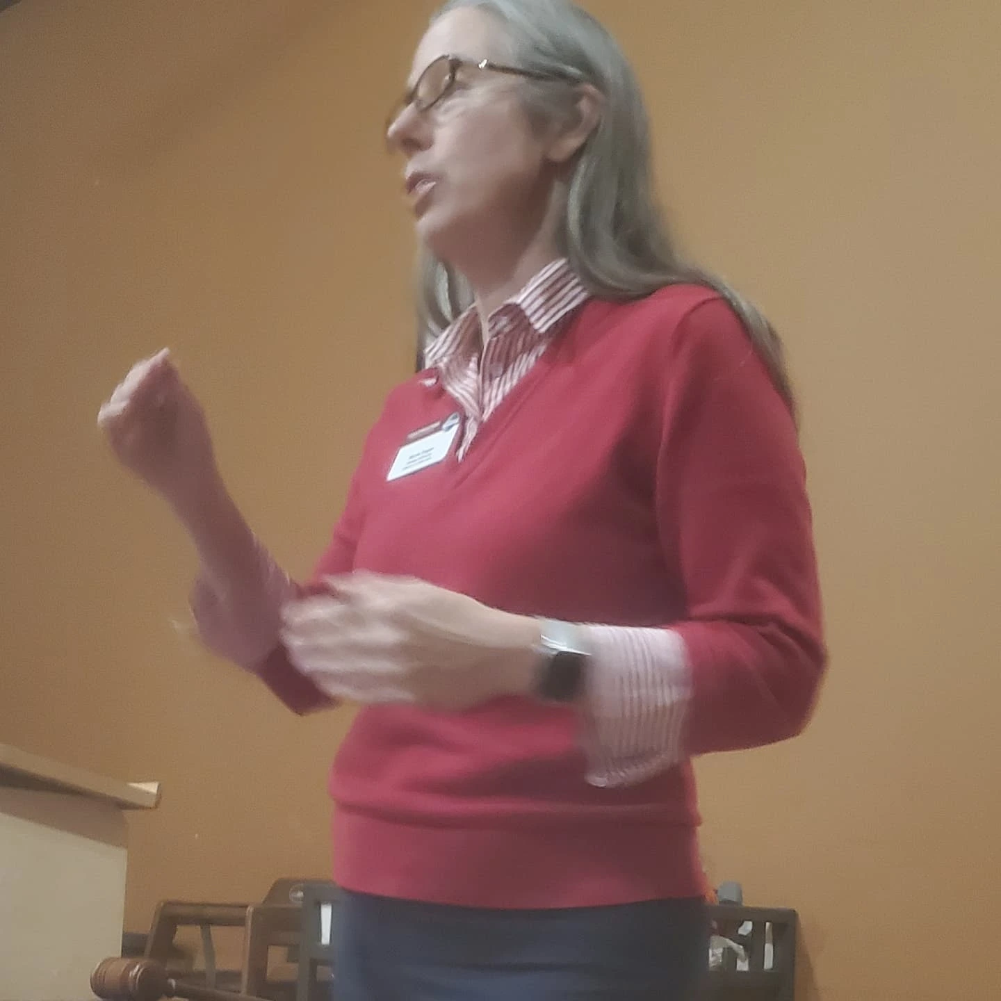 Progressive Toastmasters ā December 2, 2024, photo 2 of 2